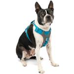 Blåa Hundselar från PetSafe 