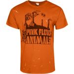 Orange Kortärmade Pink Floyd Kortärmade T-shirts med Djur för Herrar 