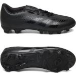 Predator Accuracy.4 Fxg J Sport Sports Shoes Football Boots Black Adidas Performance