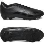 Predator Accuracy.4 Fxg Sport Sport Shoes Football Boots Black Adidas Performance