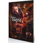 Flerfärgade Harry Potter Hagrid Posters från Pyramid 