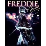Queen FP12819P-PL Freddie Mercury inramad bild, 34 x 45 cm (kungligt porträtt), flerfärgad, 34,5 x 45,5 x 1,5 cm