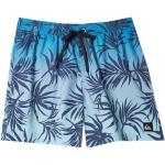 Quiksilver Badshorts - Everyday Mix Volley - Blue Dimma