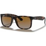 Ray-Ban Justin Classic Polarized Brown, Unisex