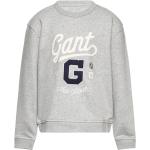 Gråa Sweatshirts för barn från Gant 
