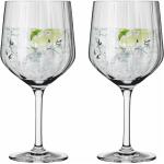 Vita Cocktailglas från Ritzenhoff 2 delar i Glas 