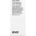 Hårspray från EVO med Root lifting effekt 200 ml 