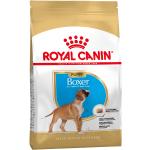 Torrfoder till hundar från Royal Canin 