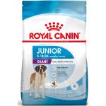 Torrfoder till hundar från Royal Canin Junior 