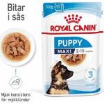 Våtfoder till hundar från Royal Canin Maxi 