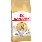 Torrfoder till katter från Royal Canin Adult 