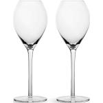 Champagneglas från Sagaform 2 delar i Glas 