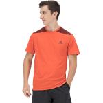 Salomon Outline Short Sleeve T-shirt Orange M Man