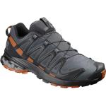 Salomon Xa Pro 3d V8 Goretex Trail Running Shoes Grå EU 40 2/3 Man