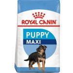 Torrfoder till hundar från Royal Canin Maxi 