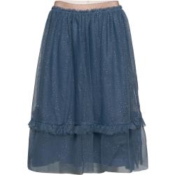 Skirt Mesh Dresses & Skirts Skirts Tulle Skirts Blue Creamie