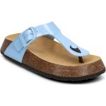 Blåa Sandaler från Scholl i storlek 36 i Läder 