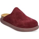 Burgundy Slip in-sandaler från Scholl i storlek 36 i Mocka 