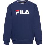 Blåa Sweatshirts för barn från Fila 