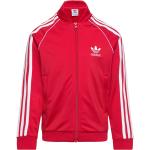 Röda Tränings hoodies från adidas Originals 