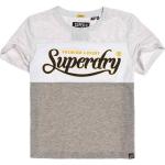 Superdry Premium Luxe Colourblock Short Sleeve T-shirt Grå M Kvinna