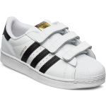 Superstar Cf C Sport Sneakers Low-top Sneakers White Adidas Originals