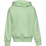 Gröna Sweatshirts från Lindex 