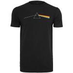T-shirt Pink Floyd Dark Side of the Moon HerrSSvart Svart