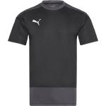 Svarta Kortärmade Kortärmade T-shirts från Puma teamGOAL i Storlek S i Jerseytyg 