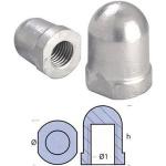 Tecnoseal Renault Couach Shaft Nut Silver 24 mm