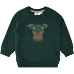 Ekologiska Gröna Sweatshirts för Pojkar från Kids-World.se på rea 