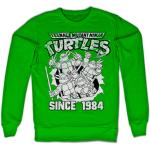 TMNT Distressed Since 1984 Sweatshirt, Sweatshirt