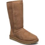 W Classic Tall Ii Shoes Wintershoes Brown UGG