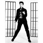 Elvis Presley Fotoposters från Wee Blue Coo 