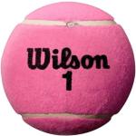 Wilson Unisex-vuxen Roland Garros jumbo tennisboll, rosa, mini